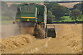 North Devon : Crop Field & Combine Harvester