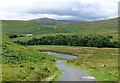 Alnhammoor beside the River Breamish