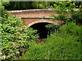 Lower End Bridge