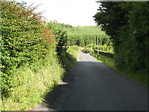 T0285 : Minor road in the Wicklow Mountains by David Purchase