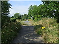 Barriers on cycle path