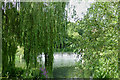 Weir on the River Avon