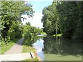 SU1383 : Wilts & Berks Canal in Summer by Colin Bews