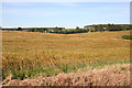 Looking towards Stonehouse