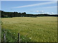 Farmland and woodland towards Broomhill