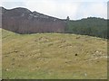 Glacial deposits, Badenoch