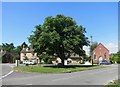 Three way junction, Standlake