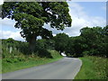 Heading north east on National Cycle Route 1 