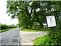 Looking along Berry Lane from the entrance to Bridley Equestrian Centre