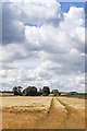 Farmland east of Caddam