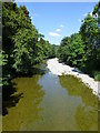 A Shallow River Teviot