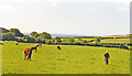 Lansallos: south-eastward from Cardeggan Farm, 1996