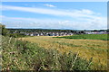 Farmland at Greenan