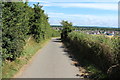 Cycle Route 7 at Greenan