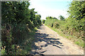 Cycle Route 7 at Greenan