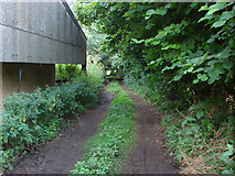 SU9346 : Path next to New Barn by Alan Hunt