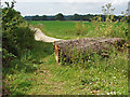 SU9346 : Footpath junction near Lone Barn by Alan Hunt