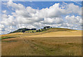 Farmland near Balnagarrow