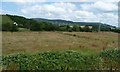 Farmland in the valley of Doniford Stream