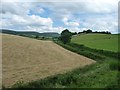 Hayfield alongside the A358