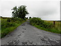H2988 : Minior road leading towards Fearn Hill by Kenneth  Allen