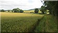 Fieldside track, Wellfield