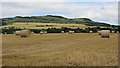 Round bales, Wester Clunie