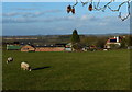 White Stacks Farm near Kibworth Beauchamp