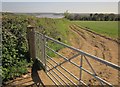 Tamar Valley Discovery Trail near Hewton Farm