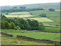 Valley of the Ayle Burn