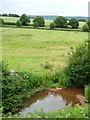 ST1531 : Pool on a stream, east of Combe Florey by Christine Johnstone