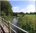 River Windrush near Standlake