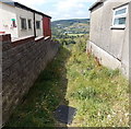 Grassy track to a kissing gate in Trebanog