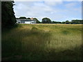 Crop field, Lower Persley