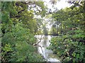 Tilebarn farm pond