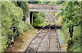 Disused railway, Ballinderry (July 2014)