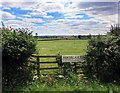 Fields at New Village Farm