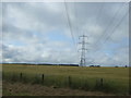 Crop field and power lines, Danestone