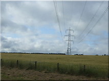 NJ9110 : Crop field and power lines, Danestone by JThomas