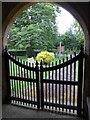 A brief evening stroll around All Saints, Leigh (e)