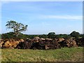 Site of Former Barn