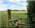 Footpath to College Farm