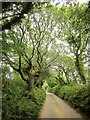 Lane to Warcombe