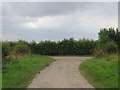 Track Junction with Woodhead Field Lane