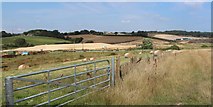 TQ7510 : Field near Acton's Farm by Oast House Archive