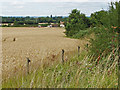 SU8976 : Field edge near Fifield by Alan Hunt