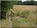 Footbridge over drain