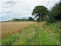 SU8975 : Footpath along field edge by Alan Hunt