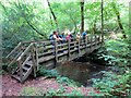 SN4962 : Pombren Afon Arth Footbridge by Alan Richards