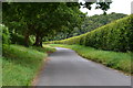 Lane towards Whitsbury